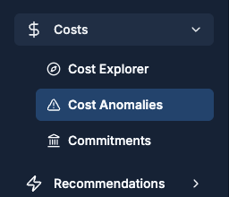 Sidebar with the Costs section expanded and Cost Anomalies highlighted