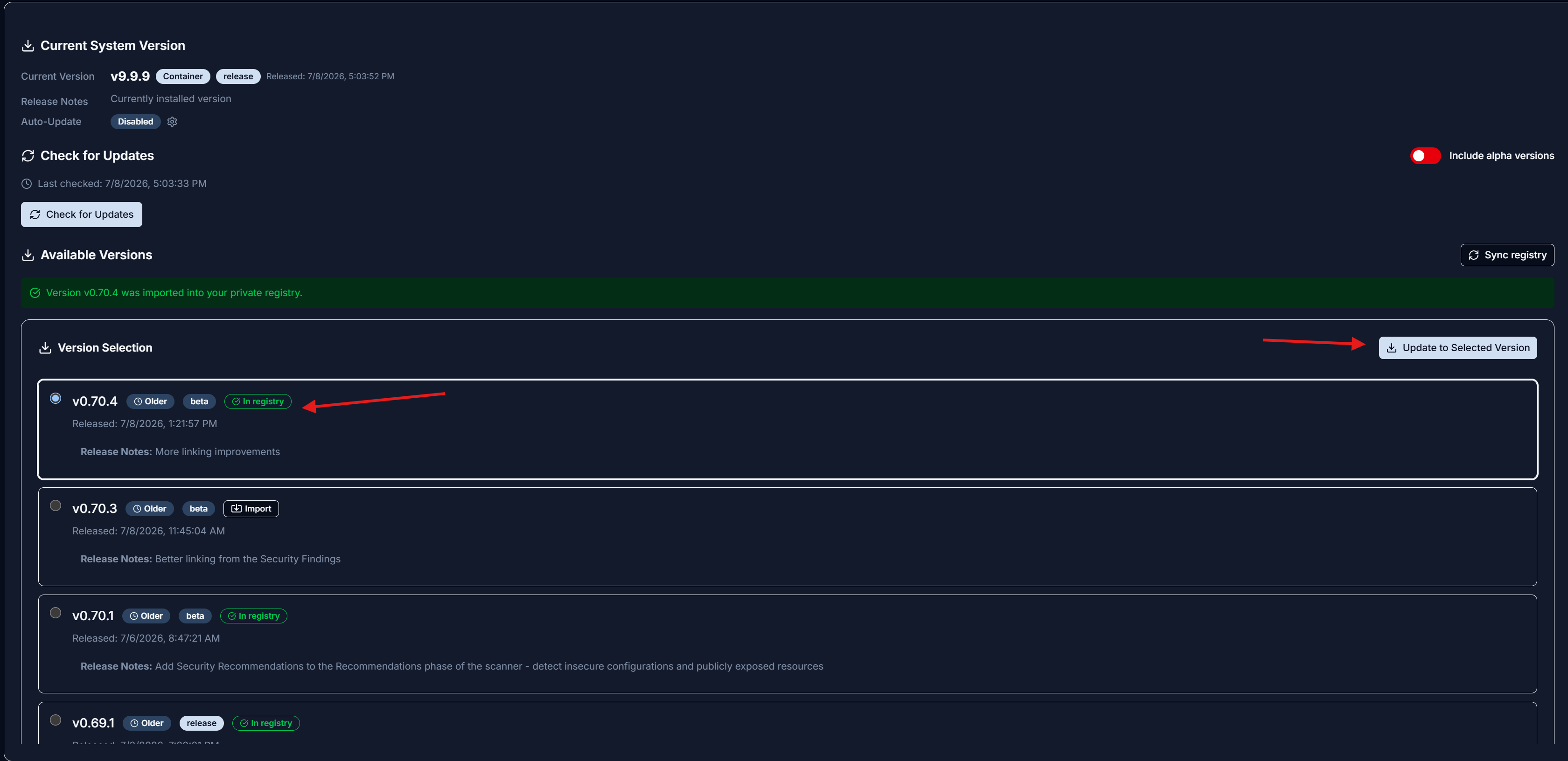 The Available Versions list after importing v0.70.4: a success banner reads Version v0.70.4 was imported into your private registry, the version now carries an In registry badge and is selected, and Update to Selected Version is enabled